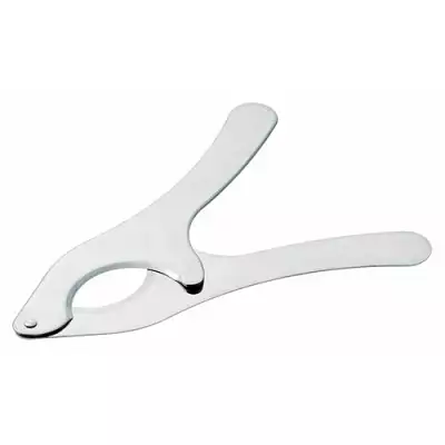 Pince Coupe Oursin Inox