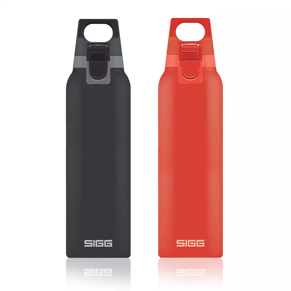 Bouteille isotherme Hot & Cold One Sigg