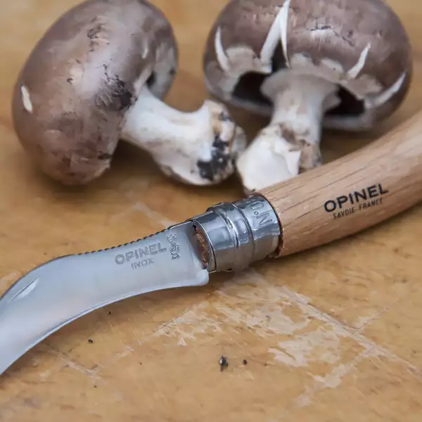 Couteau de Poche à Champignons N°08 Opinel