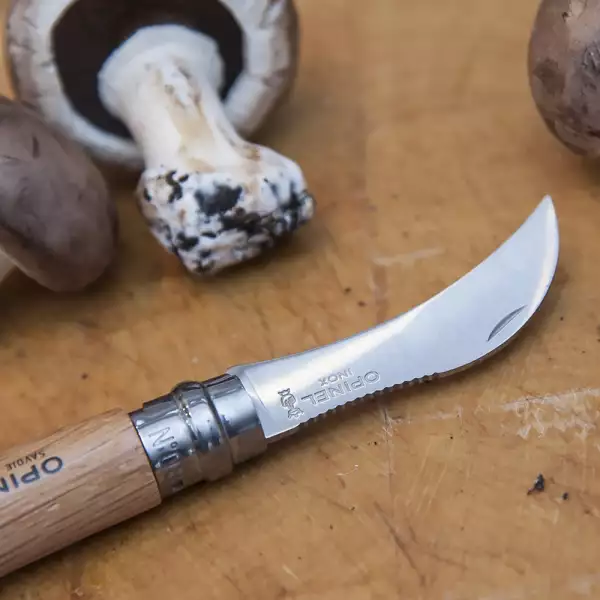 Couteau de Poche à Champignons N°08 Opinel