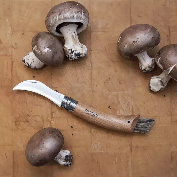 Couteau de Poche à Champignons N°08 Opinel