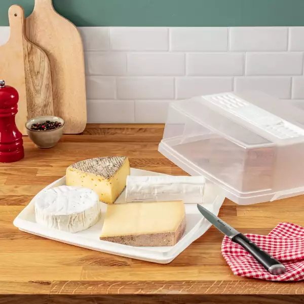 Cave à fromage Tefal