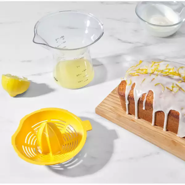 Presse-Citron et Orange Oxo