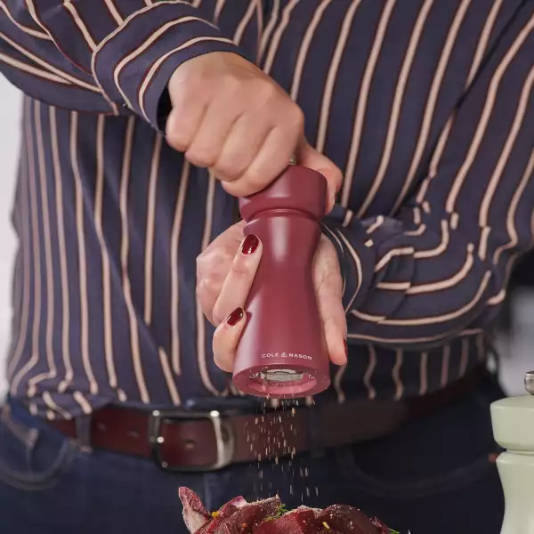 Moulin sel ou poivre mécanisme céramique Kenton Cole et Mason Violet Sishuan