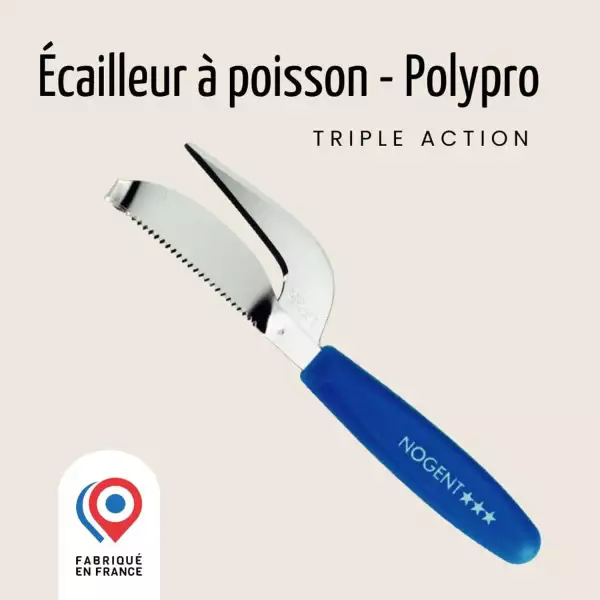 Ecailleur à Poisson Nogent