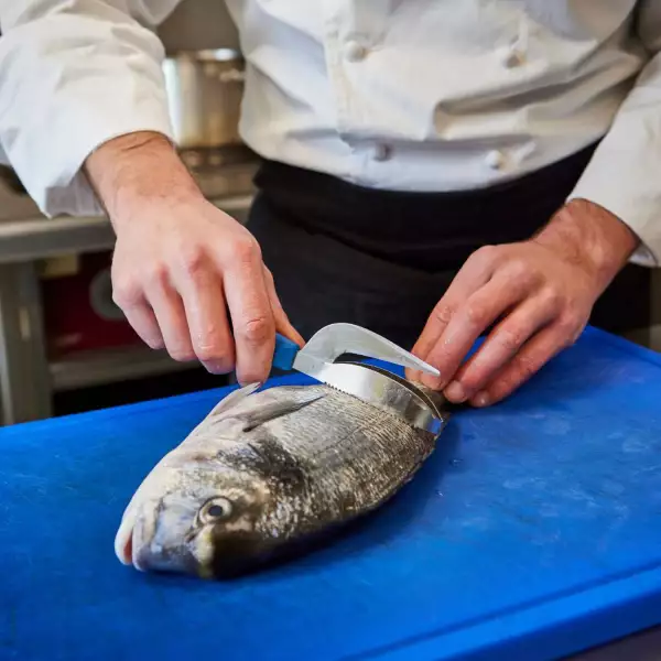 Ecailleur à Poisson Nogent
