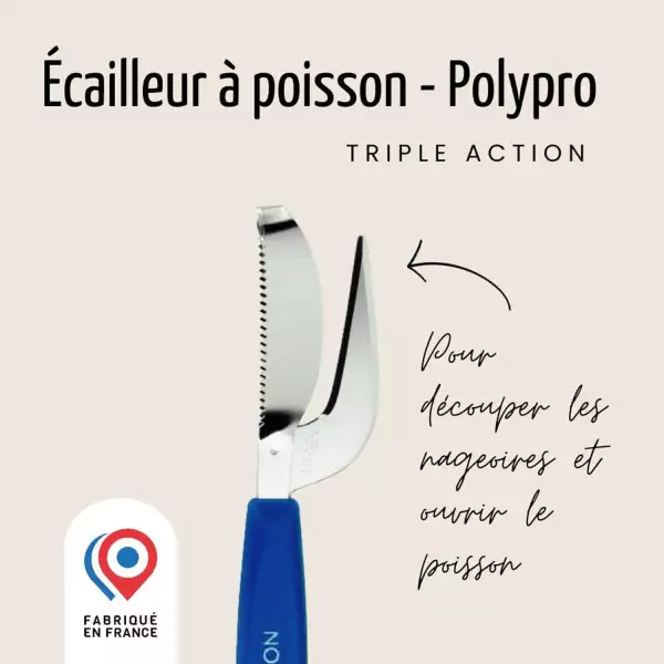 Ecailleur à Poisson Nogent