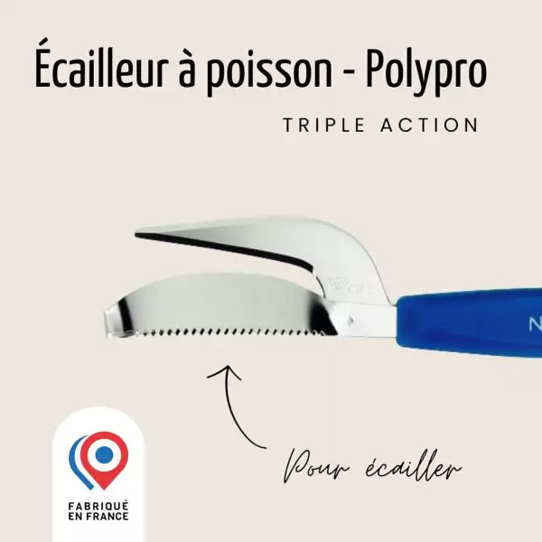 Ecailleur à Poisson Nogent