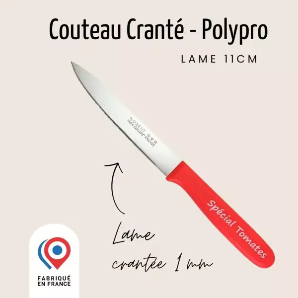 Couteau à Tomate lame crantée Nogent