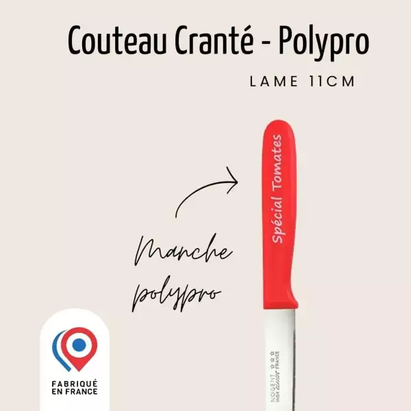 Couteau à Tomate lame crantée Nogent