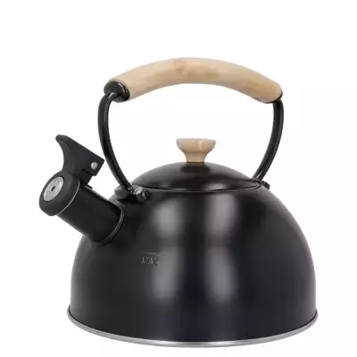 Bouilloire à sifflet 1,6 L noire La Cafetière