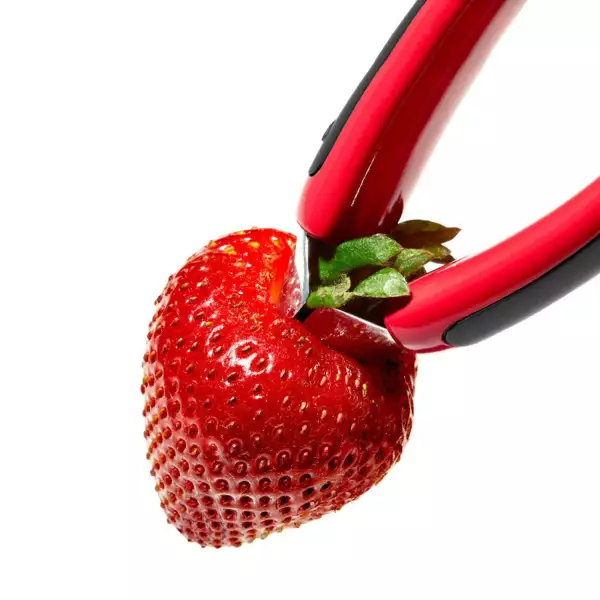 Equeuteur pour Fraises Oxo