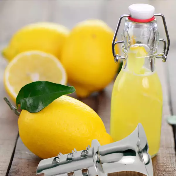 Extracteur de jus de citron 