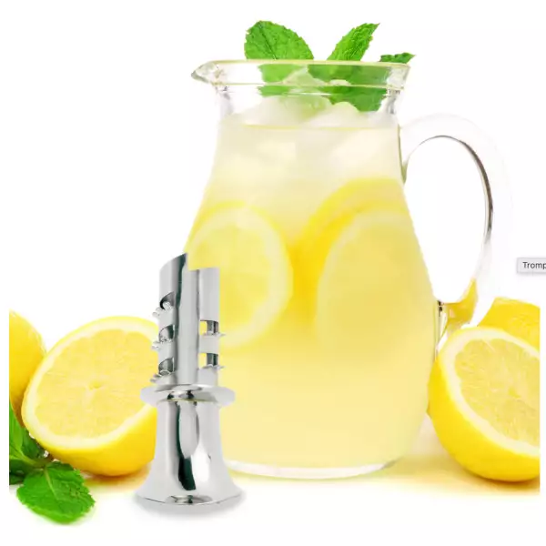 Extracteur de jus de citron 