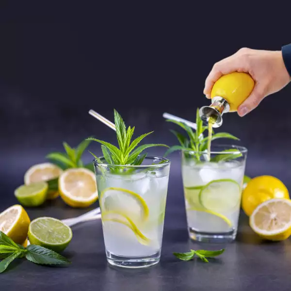Extracteur de jus de citron 