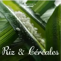 Riz et céréales