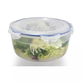 Boîte conservation salade