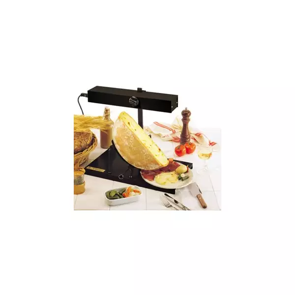Pièces détachées appareil à raclette Alpage tellier et bron coucke